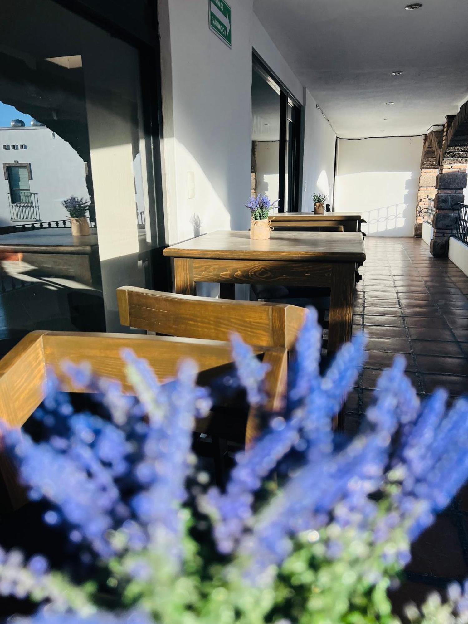 Qa Hotel San Luis Potosi Luaran gambar